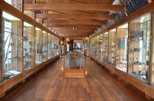 Museo delle Palafitte di Ledro 