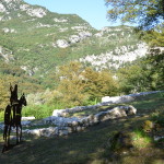 Vallagarina