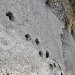 Itinerario mesozoico Lavini di Marco