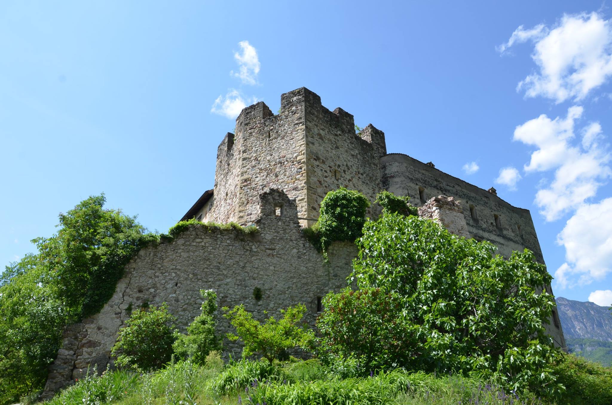 castello konigsberg
