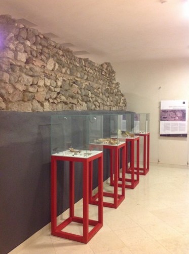 Area archeologica Palazzo Roccabruna  