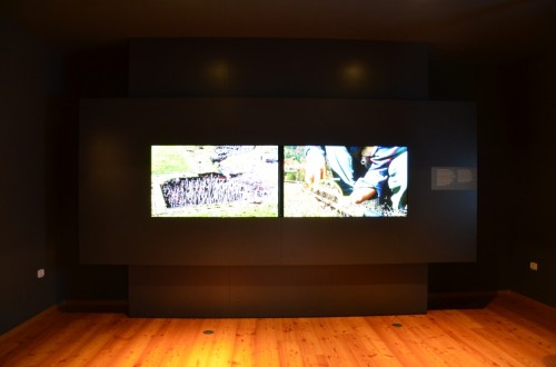 Museo delle Palafitte di Fiavé