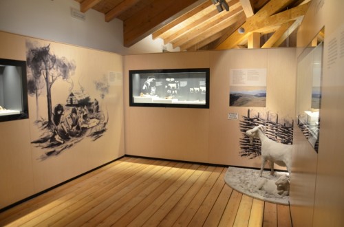 Museo delle Palafitte di Fiavé