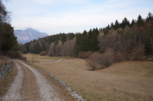 Sito archeologico Dos Castel