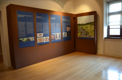 Mostra temporanea  