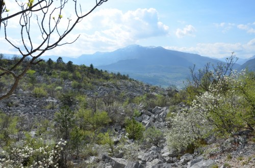 Lavini di Marco