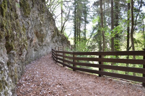 Passeggiata al Santuario di San Romedio