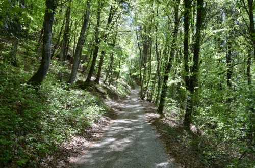 Monte San Martino