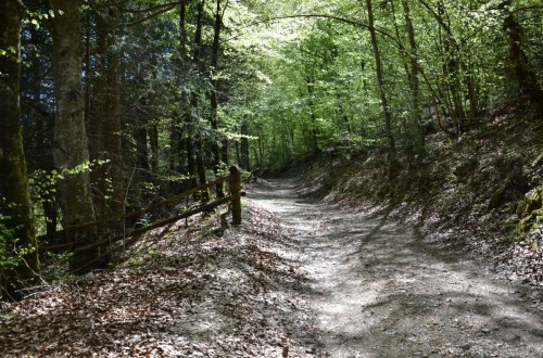 Monte San Martino