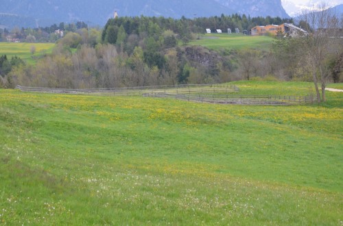 Doss Zelòr