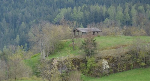 Doss Zelòr