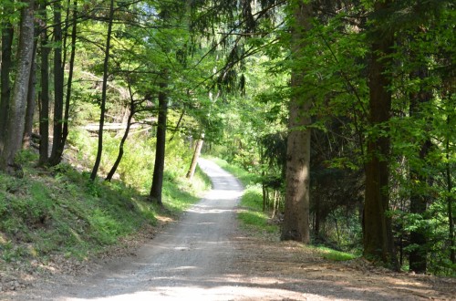 Archeotrekking alla Torre dei Sicconi