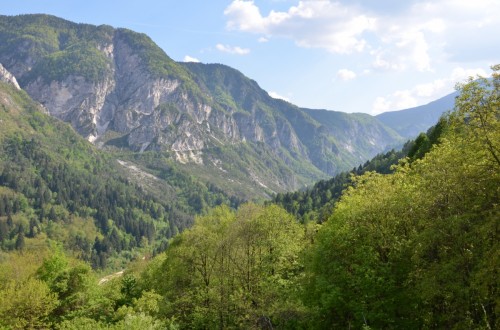 Archeotrekking alla Torre dei Sicconi