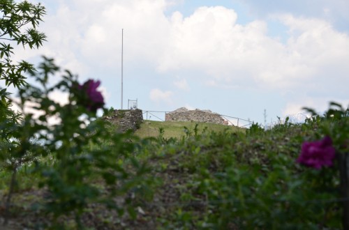 Area archeologica Torre dei Sicconi