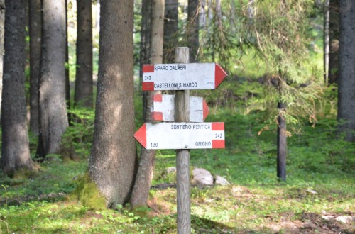 Riparo Dalmeri (Grigno)