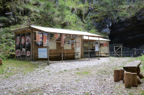 Riparo Dalmeri (Grigno)