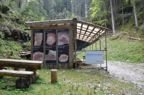 Riparo Dalmeri (Grigno)