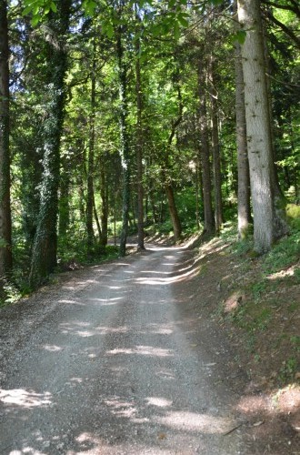Passeggiata Torre dei Sicconi