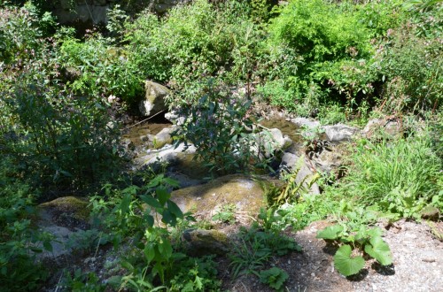 Area archeologica Montesei di Serso    