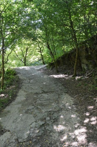 Area archeologica Montesei di Serso 