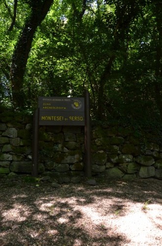 Area archeologica Montesei di Serso  