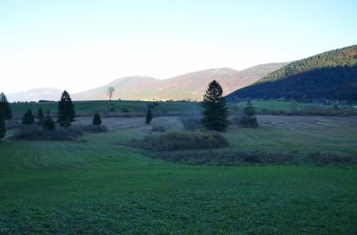 Torbiera di Fiavé