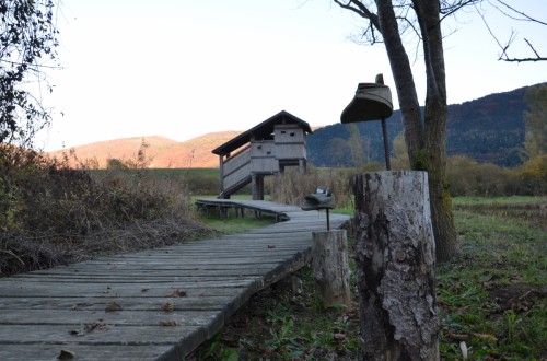 Torbiera di Fiavé