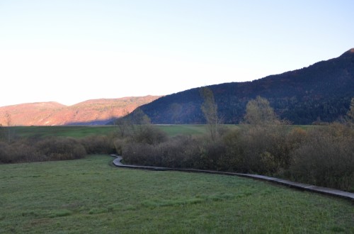 Torbiera di Fiavé